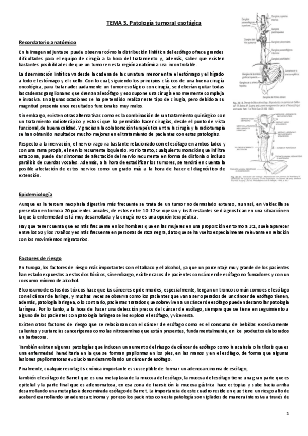 Miniatura del documento Tema 3. Patología tumoral esofágica.pdf