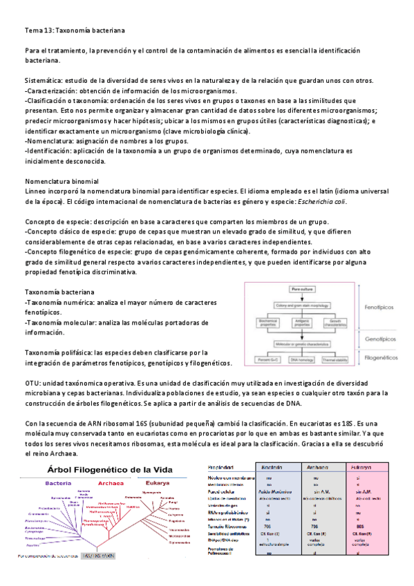 Miniatura del documento T13-24.pdf