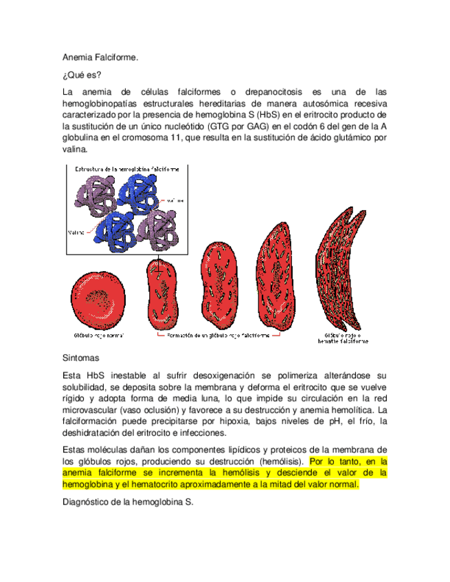 Miniatura del documento Anemia Falciforme.docx