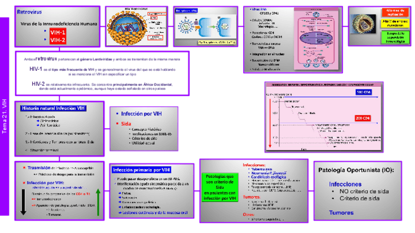 Miniatura del documento PATO Tema 20 HIV.pdf