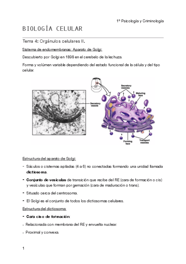 Miniatura del documento Biología celular - Tema 5 pdf.pdf