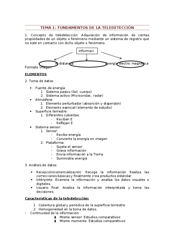 Miniatura del documento resumen sig.docx
