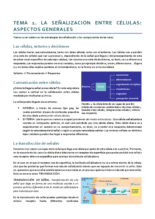 Miniatura del documento Dinámica_Tema 1.pdf