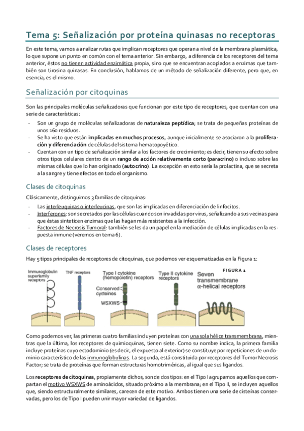 Miniatura del documento Dinámica_Tema 5.pdf