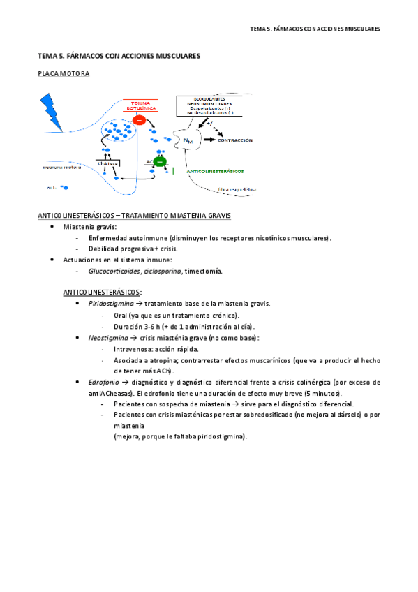 Miniatura del documento Tema 5. Fármacos con acciones musculares.pdf