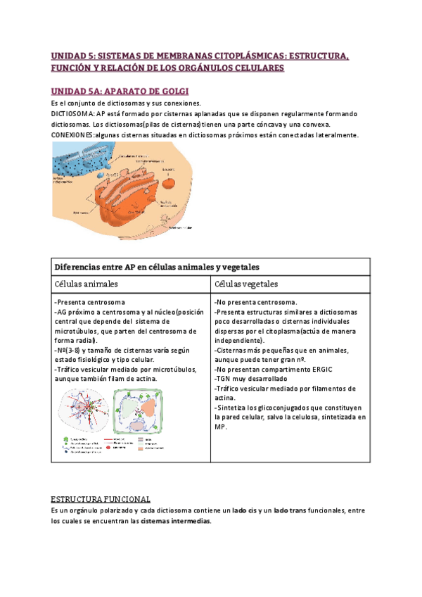Miniatura del documento RESUMEN UNIDAD 5 - SISTEMAS DE MEMBRANAS CITOPLÁSMICAS- ESTRUCTURA- FUNCIÓN Y RELACIÓN DE LOS ORGÁNULOS CELULARES.pdf