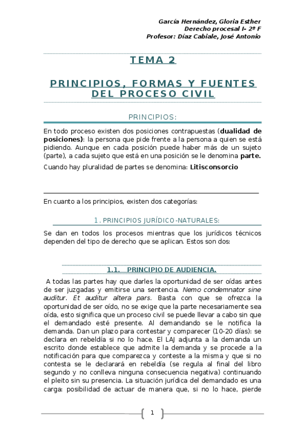 Miniatura del documento TEMA 2 -principios- formas y fuentes del proceso civil .docx