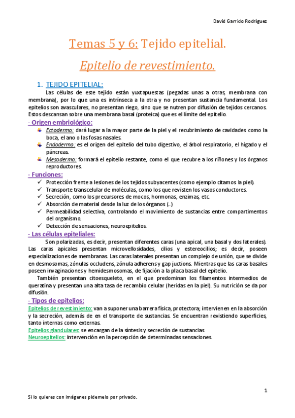 Miniatura del documento Tema 5 y 6. Tejido epitelial..pdf