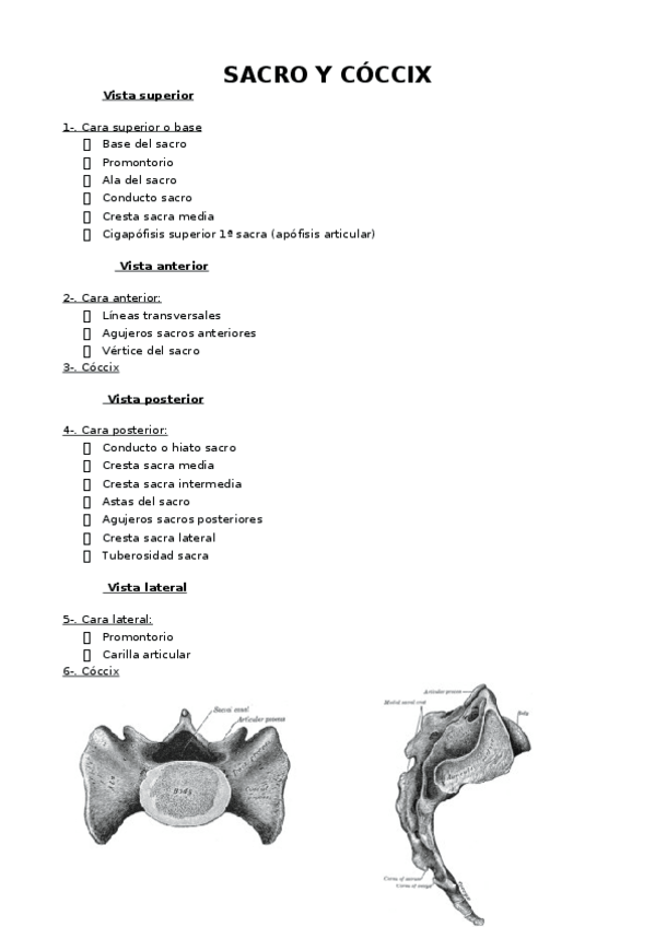 Miniatura del documento COMPLETO MIEMBRO INFERIOR.docx