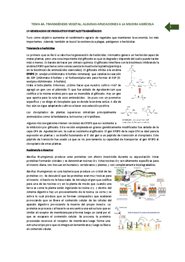 Miniatura del documento TEMA 4A.pdf