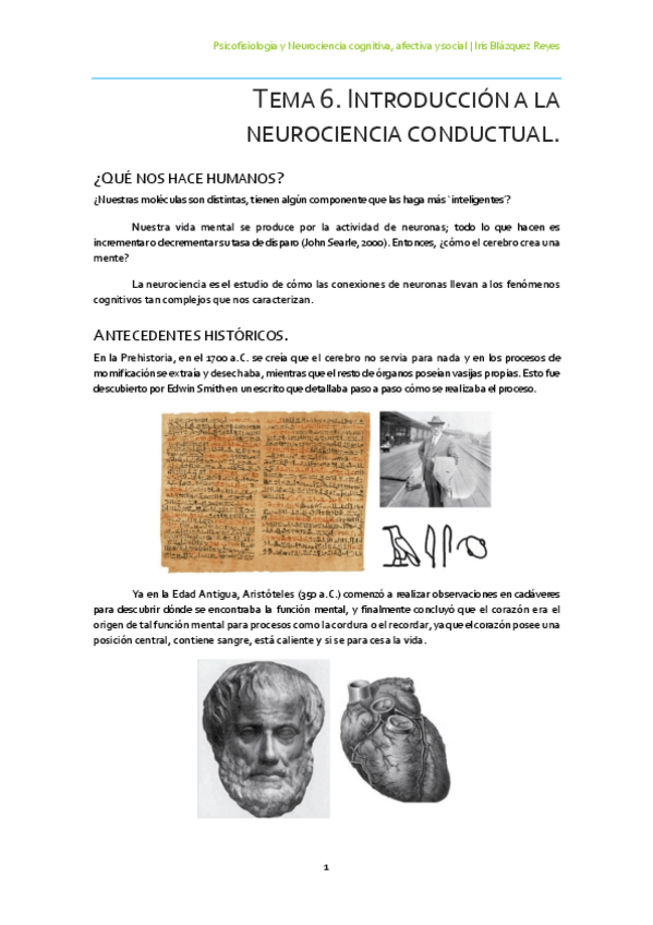Miniatura del documento TEMA 6. INTRODUCCIÓN A LA NEUROCIENCIA CONDUCTUAL.pdf