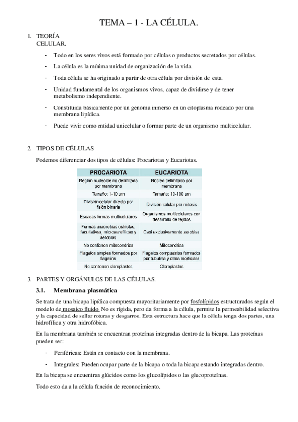 Miniatura del documento TEMARIO COMPLETO ORGANOGRAFIA .docx
