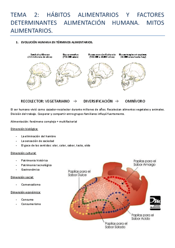 Miniatura del documento TEMA 2.pdf