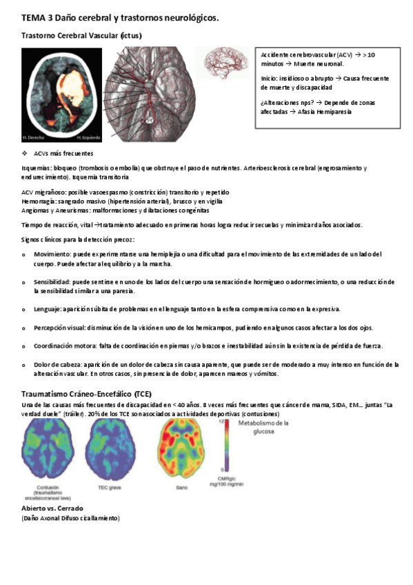 Miniatura del documento TEMA 3 Daño cerebral y trastornos neurológicos.pdf