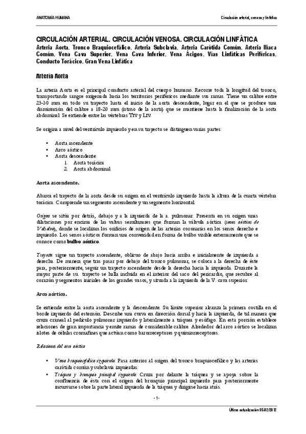 Miniatura del documento Circulacion tronco.pdf