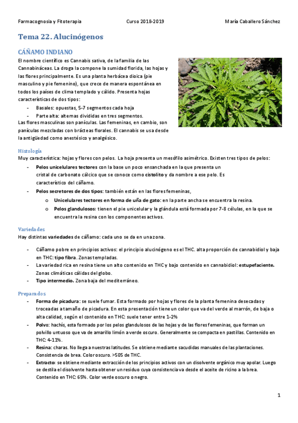 Miniatura del documento tema 22.pdf