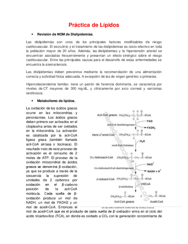 Miniatura del documento 8 - Lípidos.pdf
