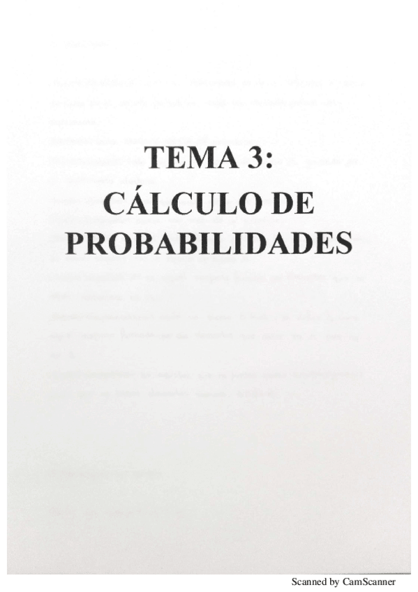 Miniatura del documento TEMA3.pdf