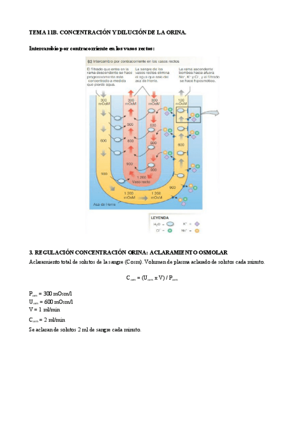 Miniatura del documento T11B. Concentración y dilución orina.pdf