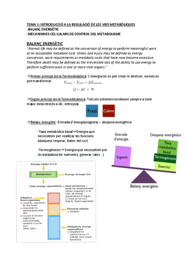 Miniatura del documento TEMA 1 pdf.pdf