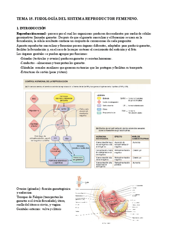 Miniatura del documento T15. Reproducción femenina.pdf