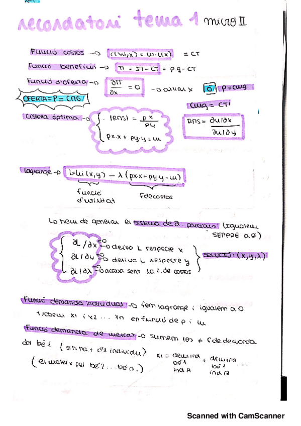 Miniatura del documento RESUM TEMA 1_20190401163718.pdf