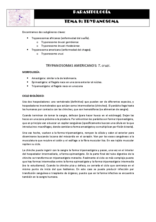 Miniatura del documento Tema 9 TRYPANOSOMA.pdf
