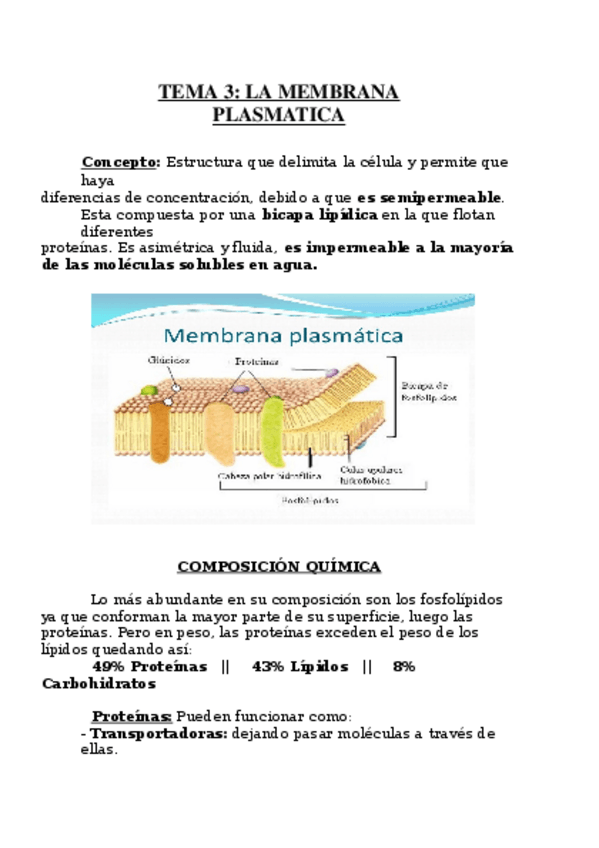 Miniatura del documento Tema 3.odt