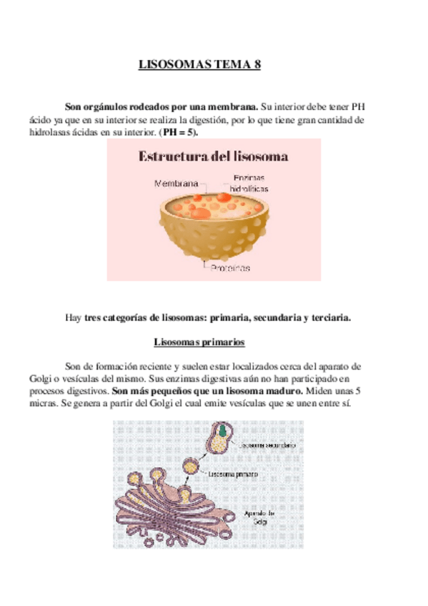 Miniatura del documento Tema 8.odt