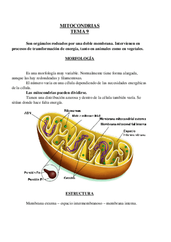 Miniatura del documento Tema 9.odt
