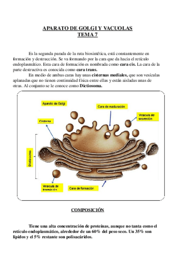 Miniatura del documento Tema 7.odt