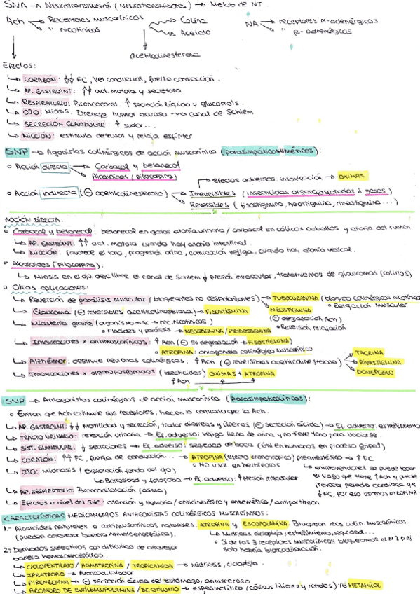 Miniatura del documento 2 PARCIAL MENOS ANESTESIA.pdf