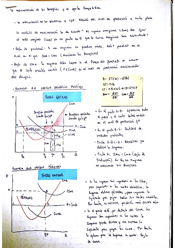 Miniatura del documento competencia.pdf