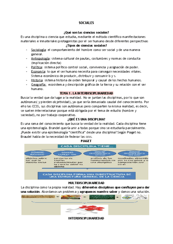 Miniatura del documento TEORIA.pdf