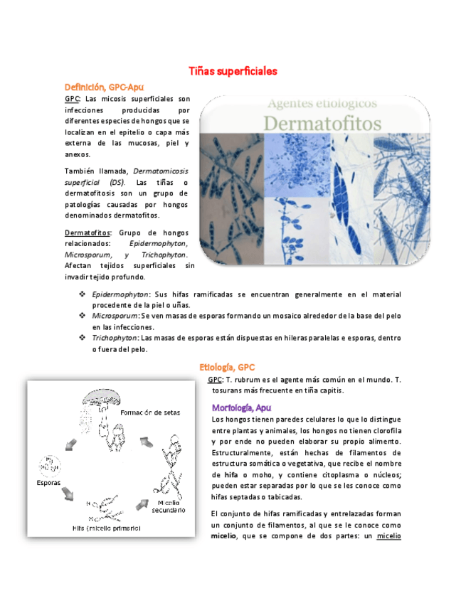Miniatura del documento 1-Tinas-superficiales.pdf