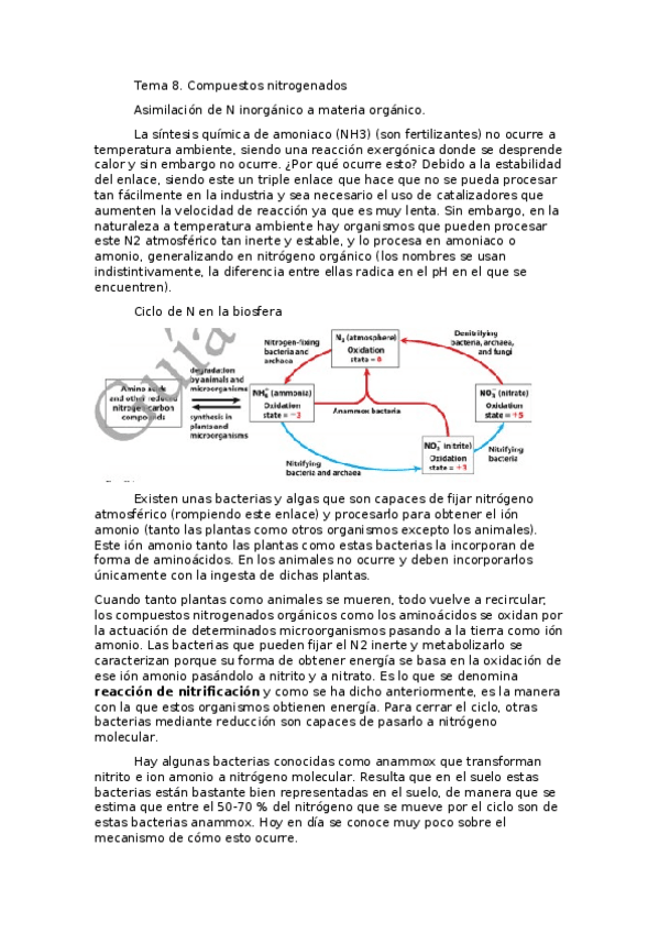 Miniatura del documento Tema-8-Compuestos-nitrogenados-Rafa.docx