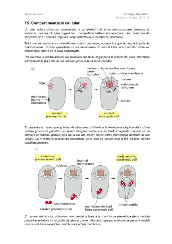 Miniatura del documento T5.-Compartimentacio-cellular.pdf
