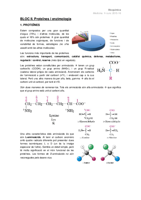 Miniatura del documento PROTEINES.docx