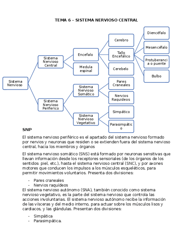 Miniatura del documento TEMA-6-SNC-gantes.docx