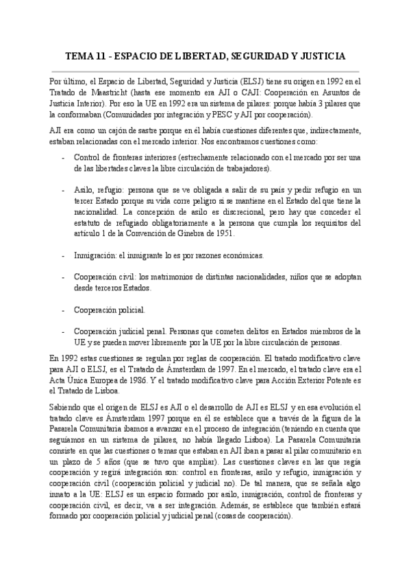 Miniatura del documento IJUE-Tema-11-.pdf