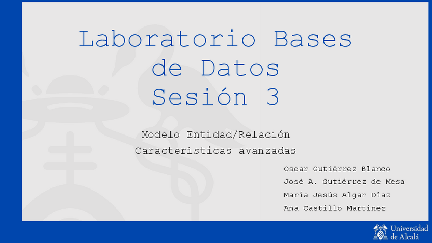 Miniatura del documento Sesion3MERCaracteristicasAvanzadas1.pdf