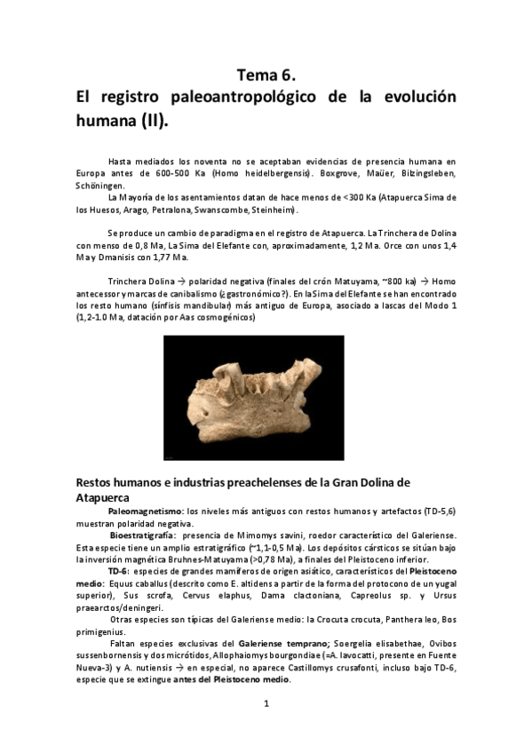 Miniatura del documento Tema-7.pdf