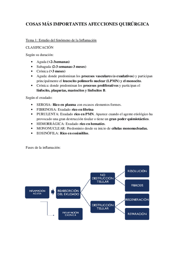 Miniatura del documento COSAS-IMPORTANTES-AFECCIONES-QUIRURGICAS.docx