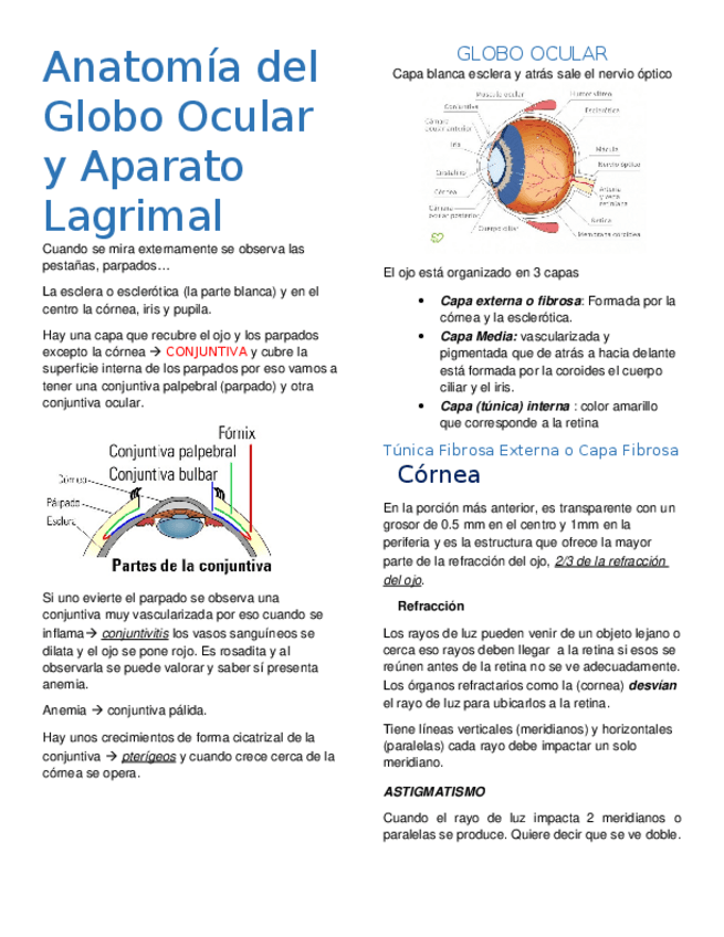 Miniatura del documento Anatomia-del-globo-ocular-y-aparato-lagrimal.docx