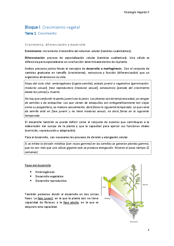 Miniatura del documento Bloque I.pdf