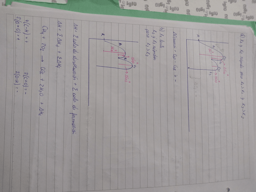 Miniatura del documento IMG20190821091543062.jpg