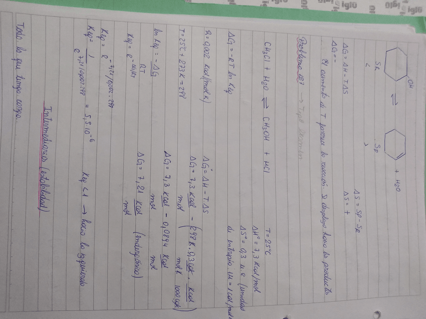 Miniatura del documento IMG20190821091611730.jpg