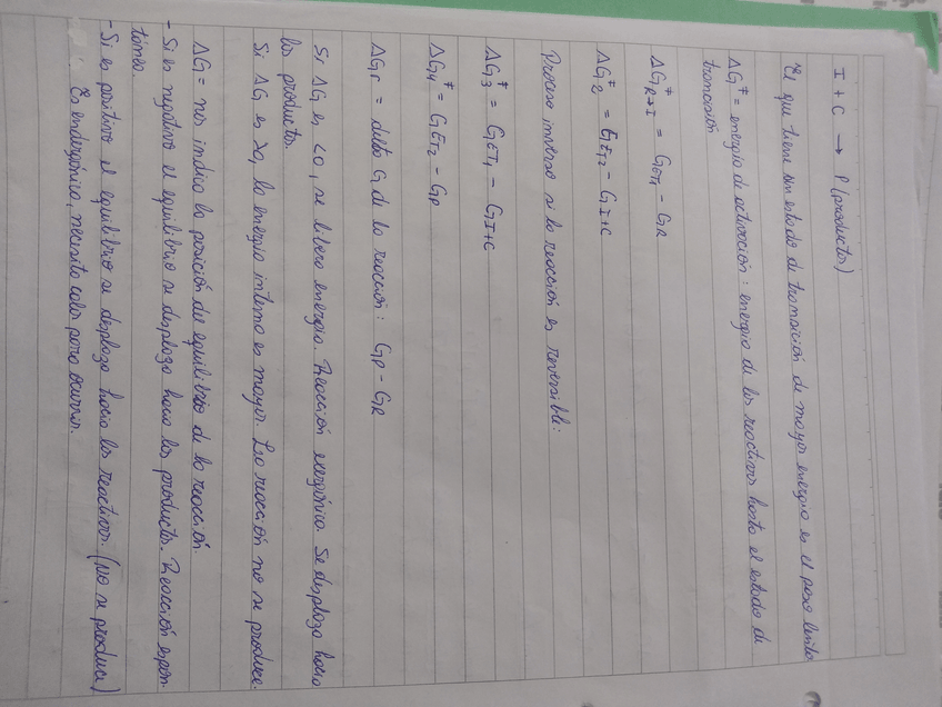 Miniatura del documento IMG20190821091513013.jpg