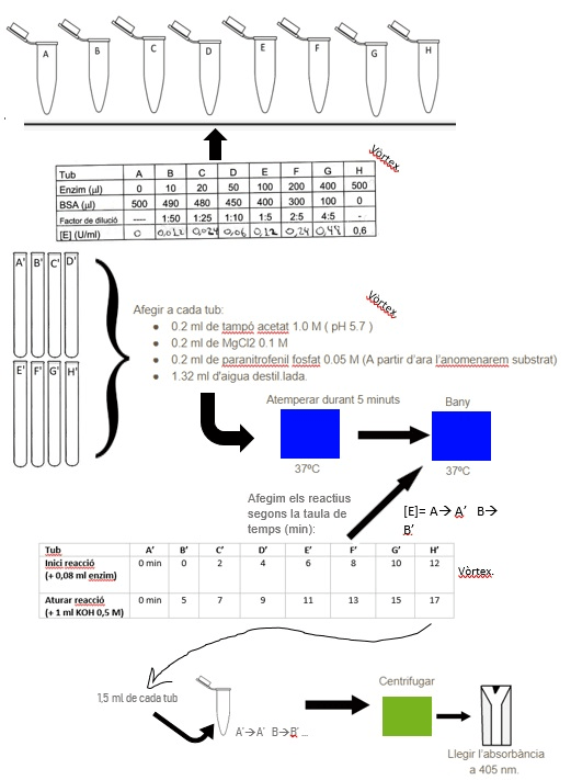 Miniatura del documento Practica-4.jpg