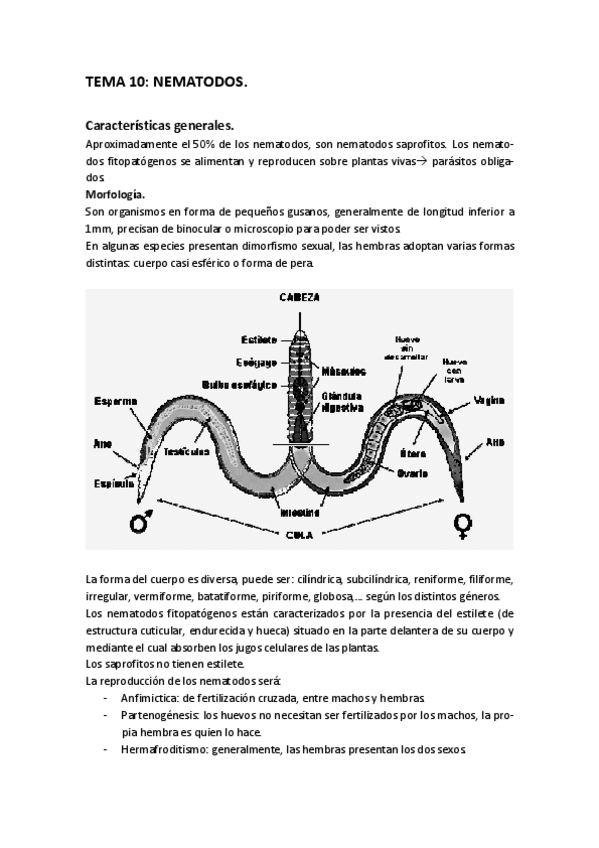 Miniatura del documento TEMA_10.pdf